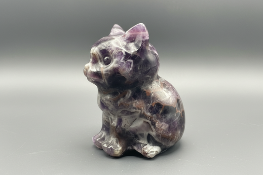 Dream Amethyst Cat image 1