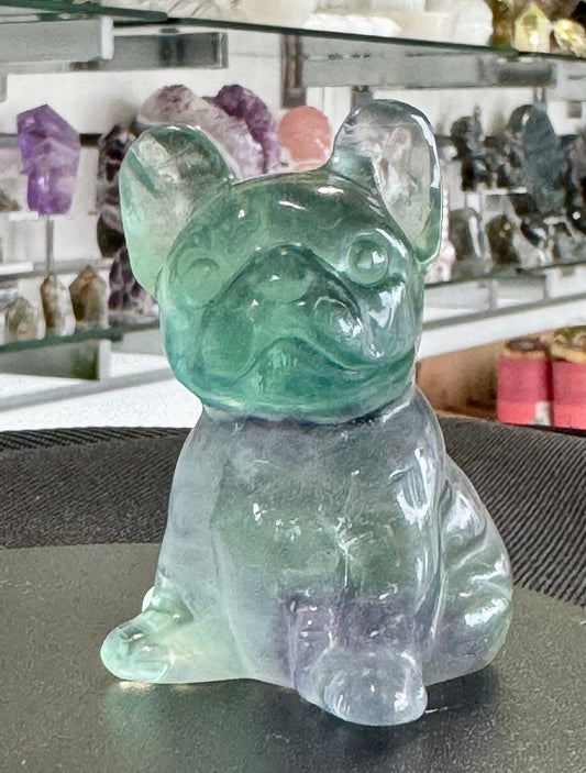 Fluorite French Bulldog Carvings