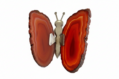 Agate Butterfly image 2