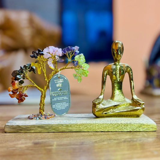 Seven Chakra Gemstone Yoga Garden - Meditation Pose