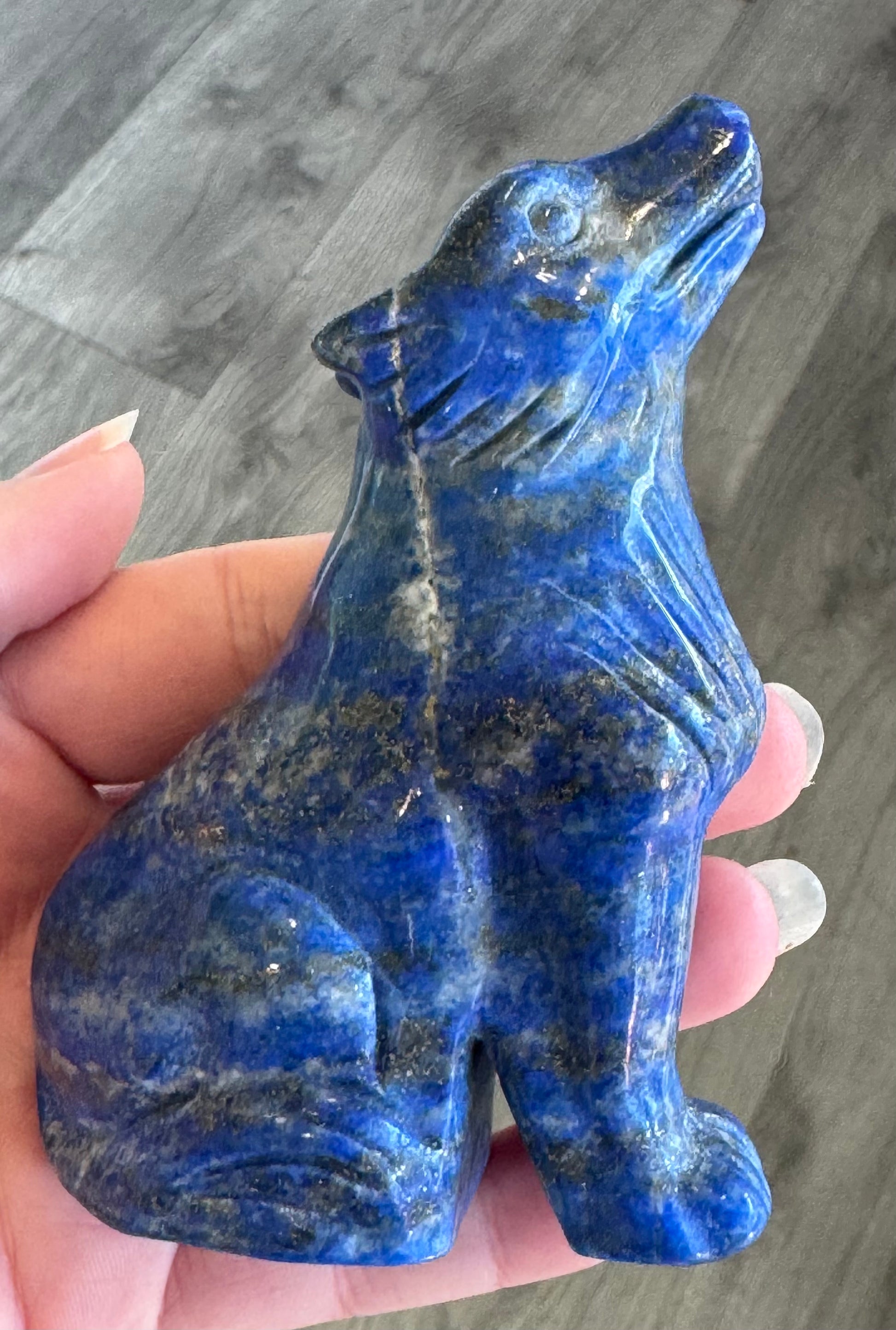 Lapis Lazuli Wolf image 8