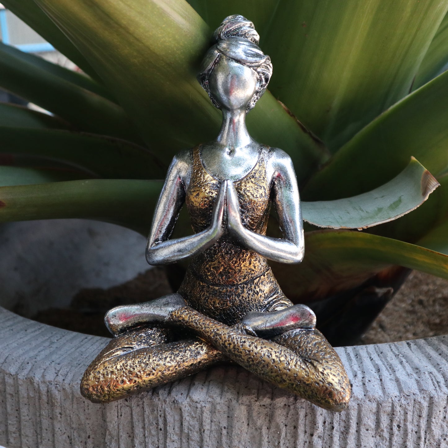 Yoga Lady image 13