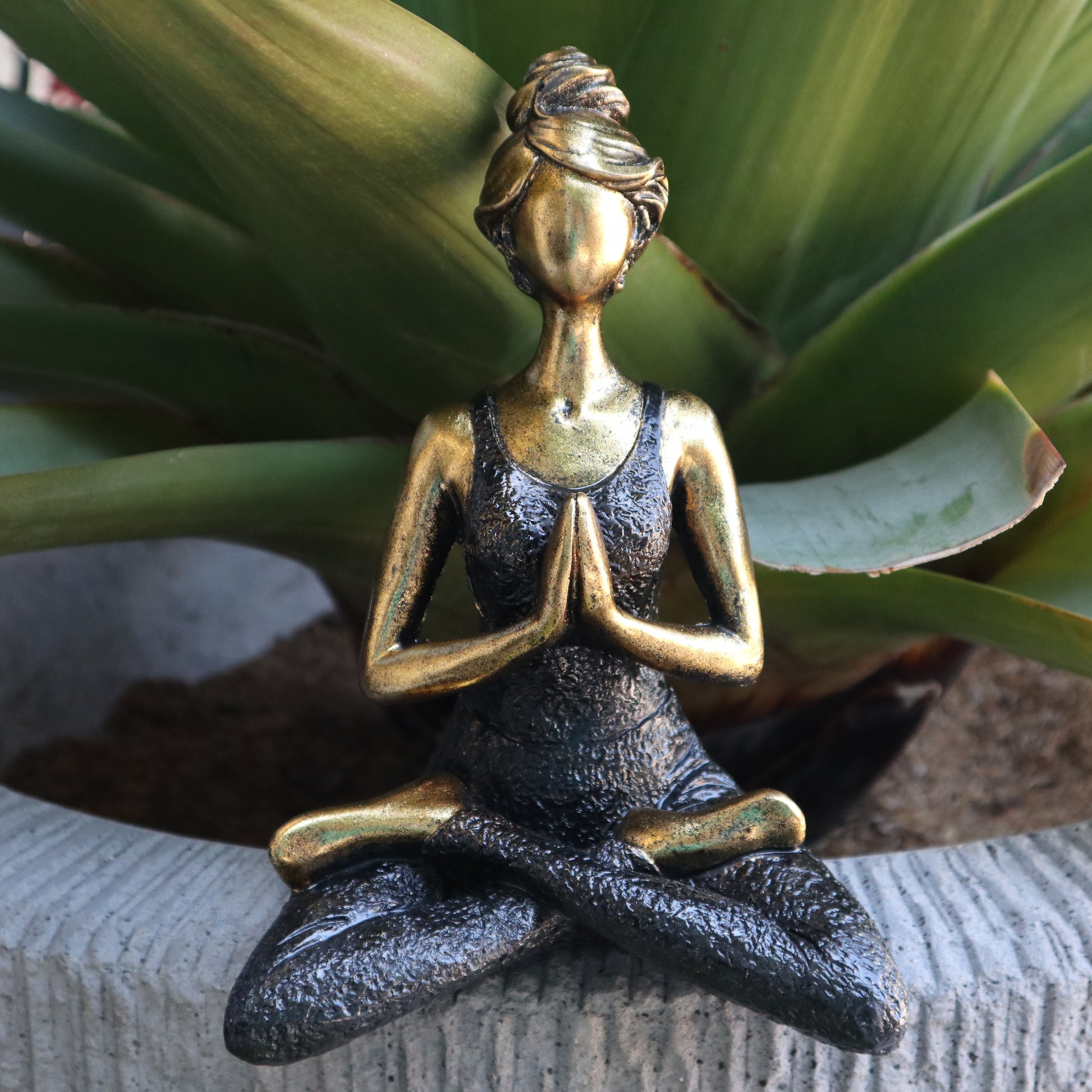 Yoga Lady image 10
