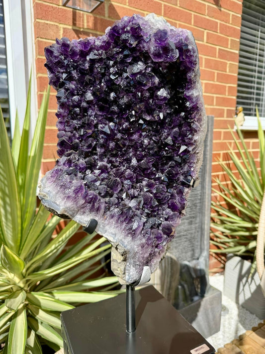 Brazilian Amethyst Cluster on Stand