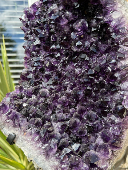 Brazilian Amethyst Cluster on Stand