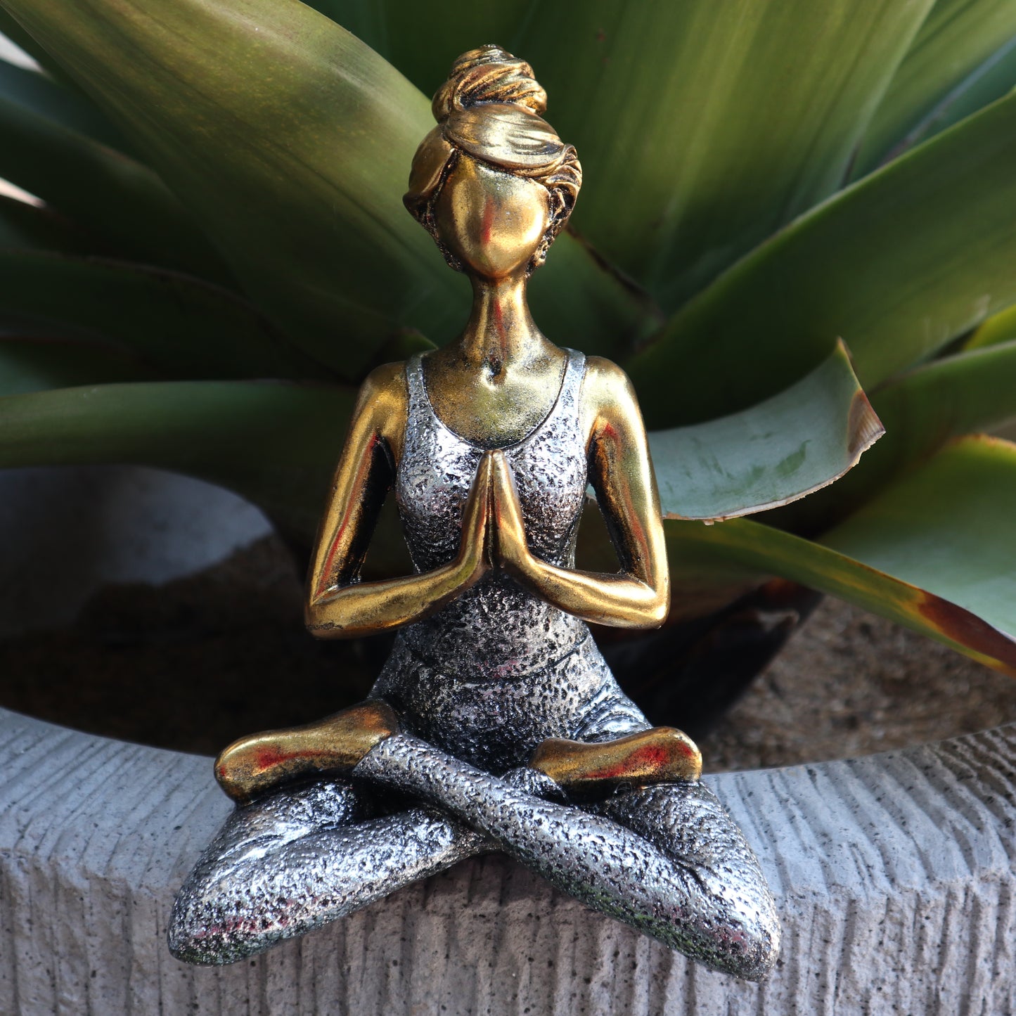 Yoga Lady image 5