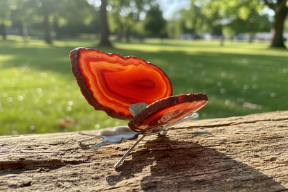 Agate Butterfly image 3