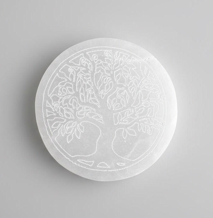 Small Charging Plate 8cm image 2