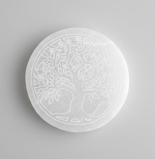 Small Charging Plate 8cm image 2