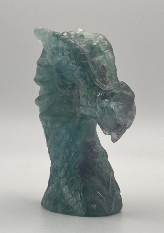 Fluorite Dragon image 2