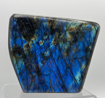 Large Labradorite Freeform