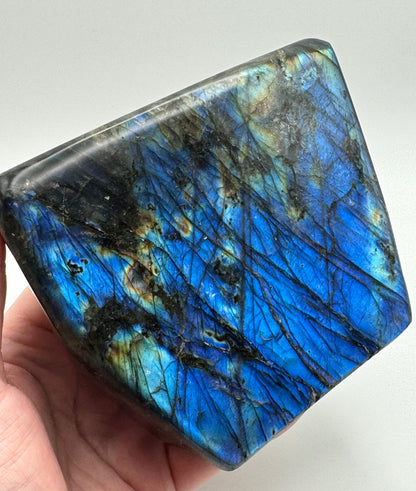 Large Labradorite Freeform