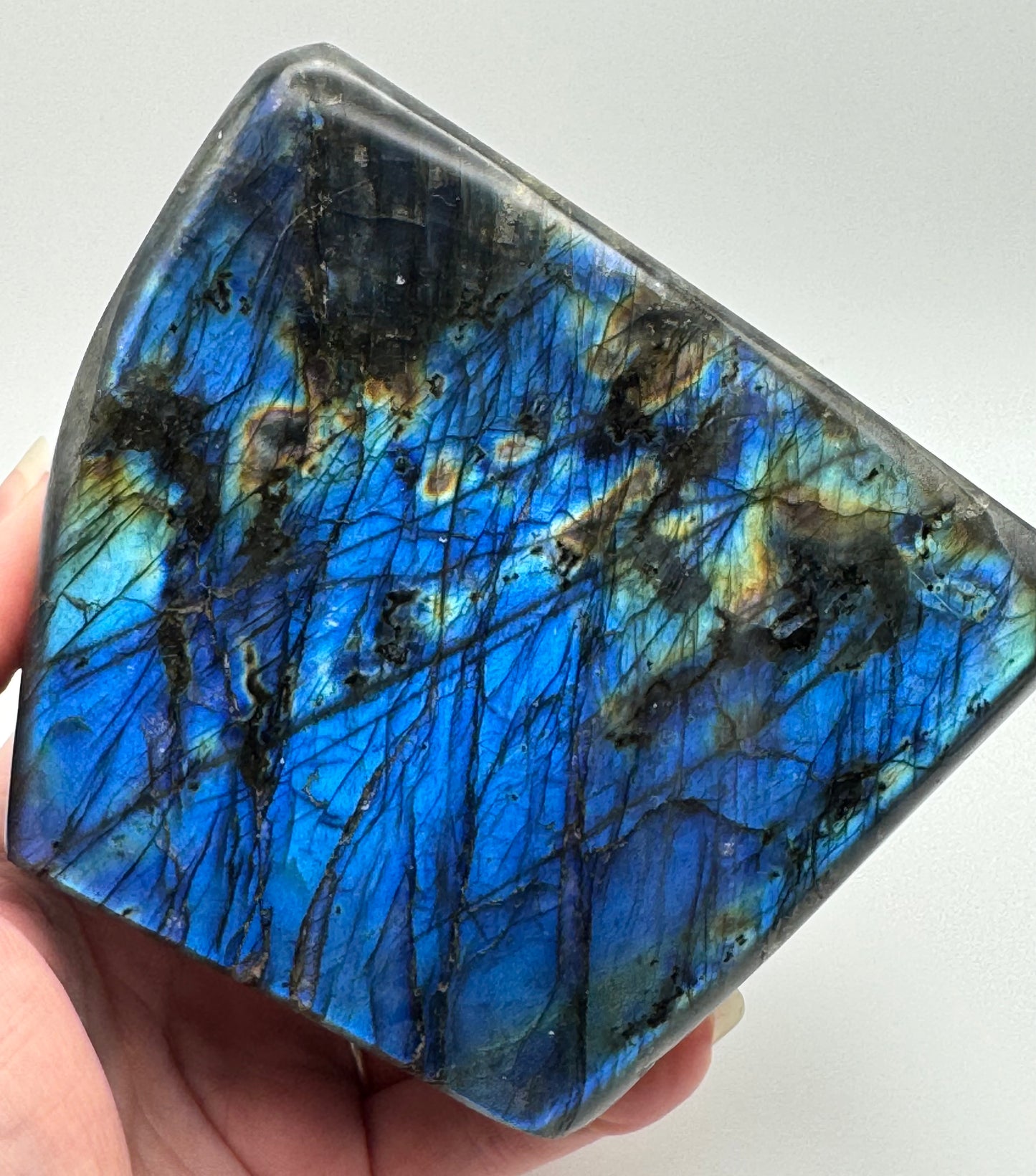 Large Labradorite Freeform
