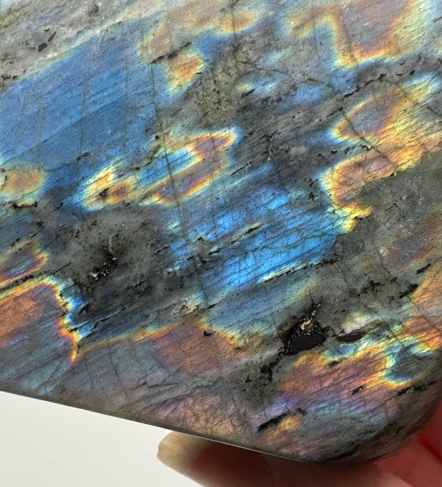 Labradorite Freeform - Purple Flash