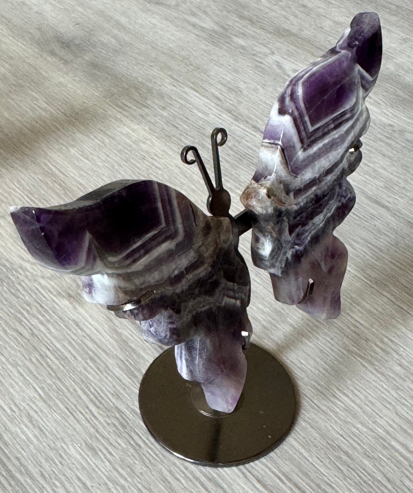 Dream Amethyst Butterfly Wings on Stand