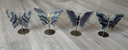 Fluorite Butterfly Wings on Stand