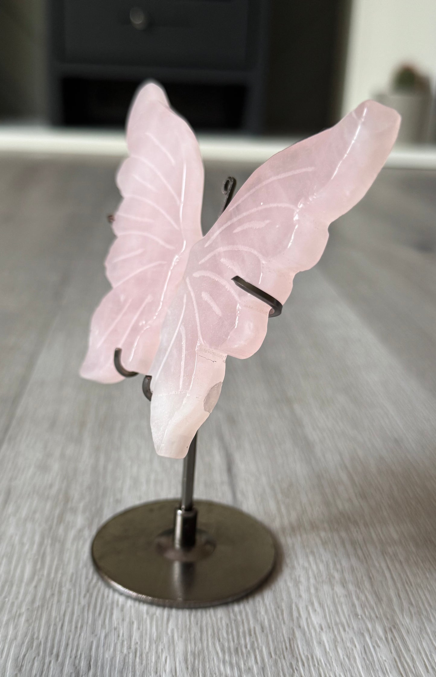 Rose Quartz Butterfly Wings on Stand