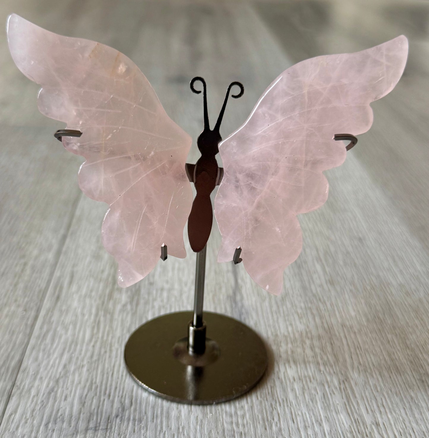 Rose Quartz Butterfly Wings on Stand