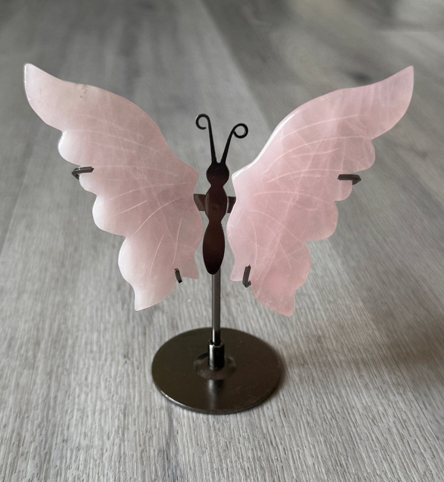 Rose Quartz Butterfly Wings on Stand