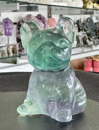 Fluorite French Bulldog Carvings