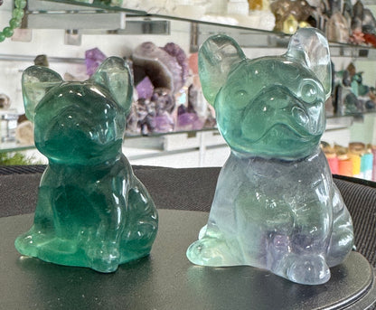 Fluorite French Bulldog Carvings