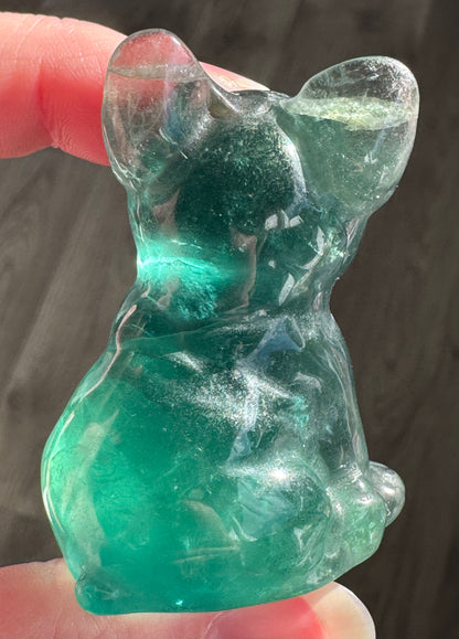 Fluorite French Bulldog Carvings