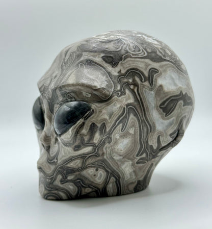 Shell Jasper Alien Head with Labradorite Eyes