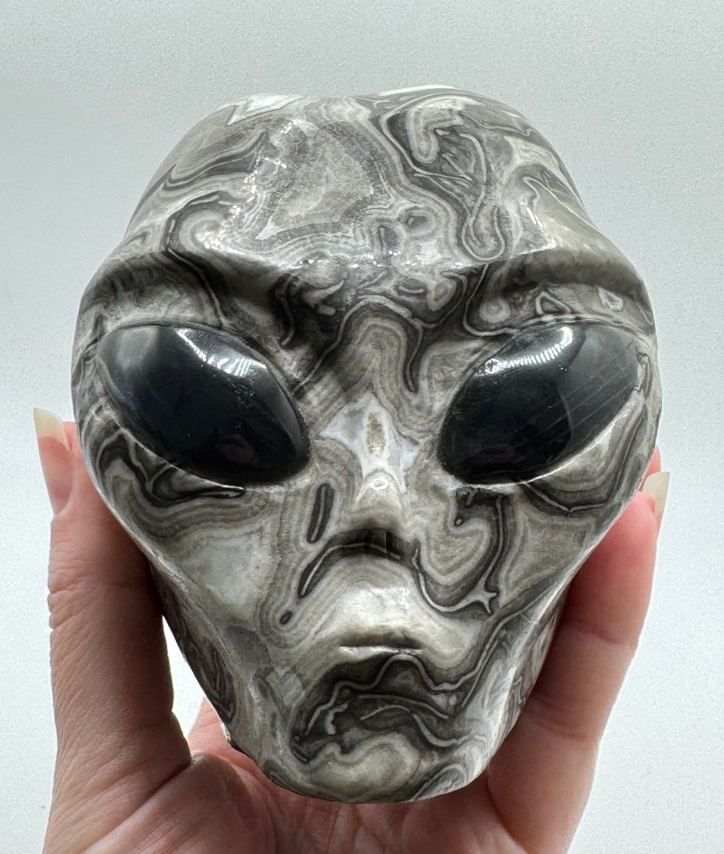 Shell Jasper Alien Head with Labradorite Eyes
