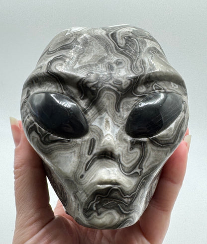 Shell Jasper Alien Head with Labradorite Eyes