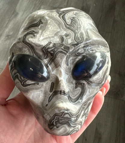 Shell Jasper Alien Head with Labradorite Eyes