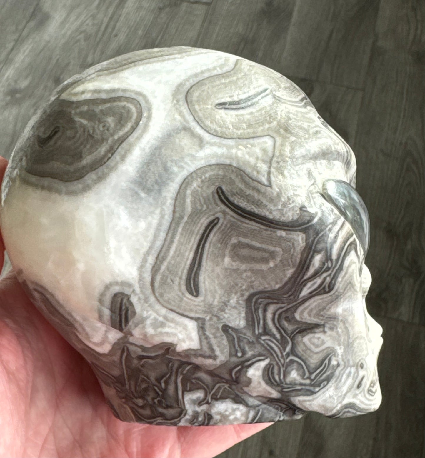 Shell Jasper Alien Head with Labradorite Eyes