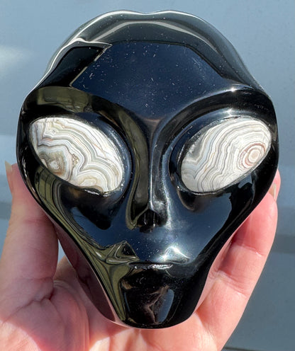 Obsidian Alien Head with Agate Eyes