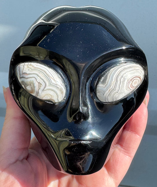 Obsidian Alien Head with Agate Eyes