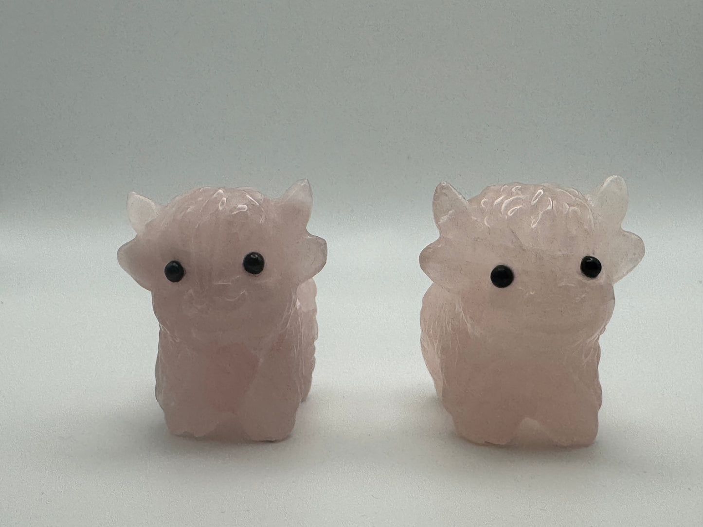 Rose Quartz Highland Cow