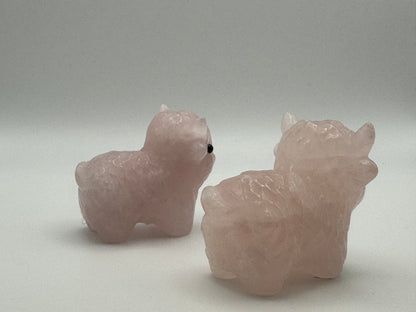Rose Quartz Highland Cow