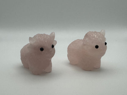 Rose Quartz Highland Cow