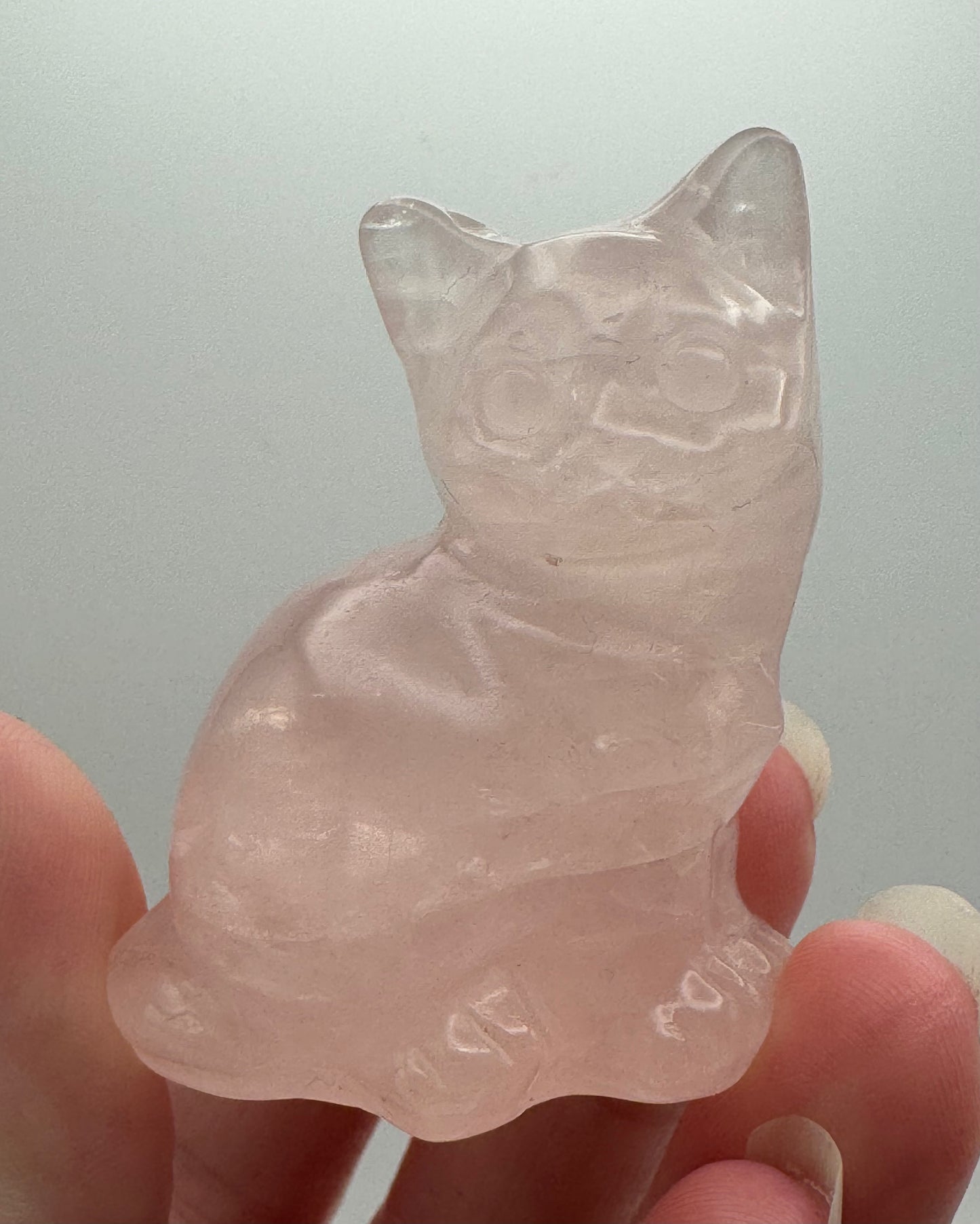 Cat Carving