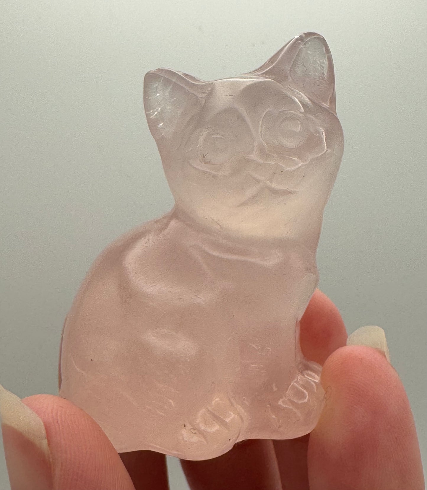 Cat Carving