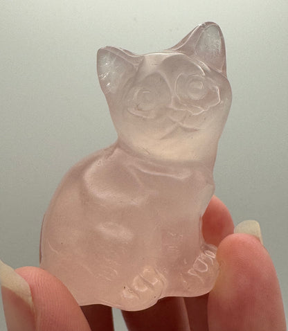 Cat Carving