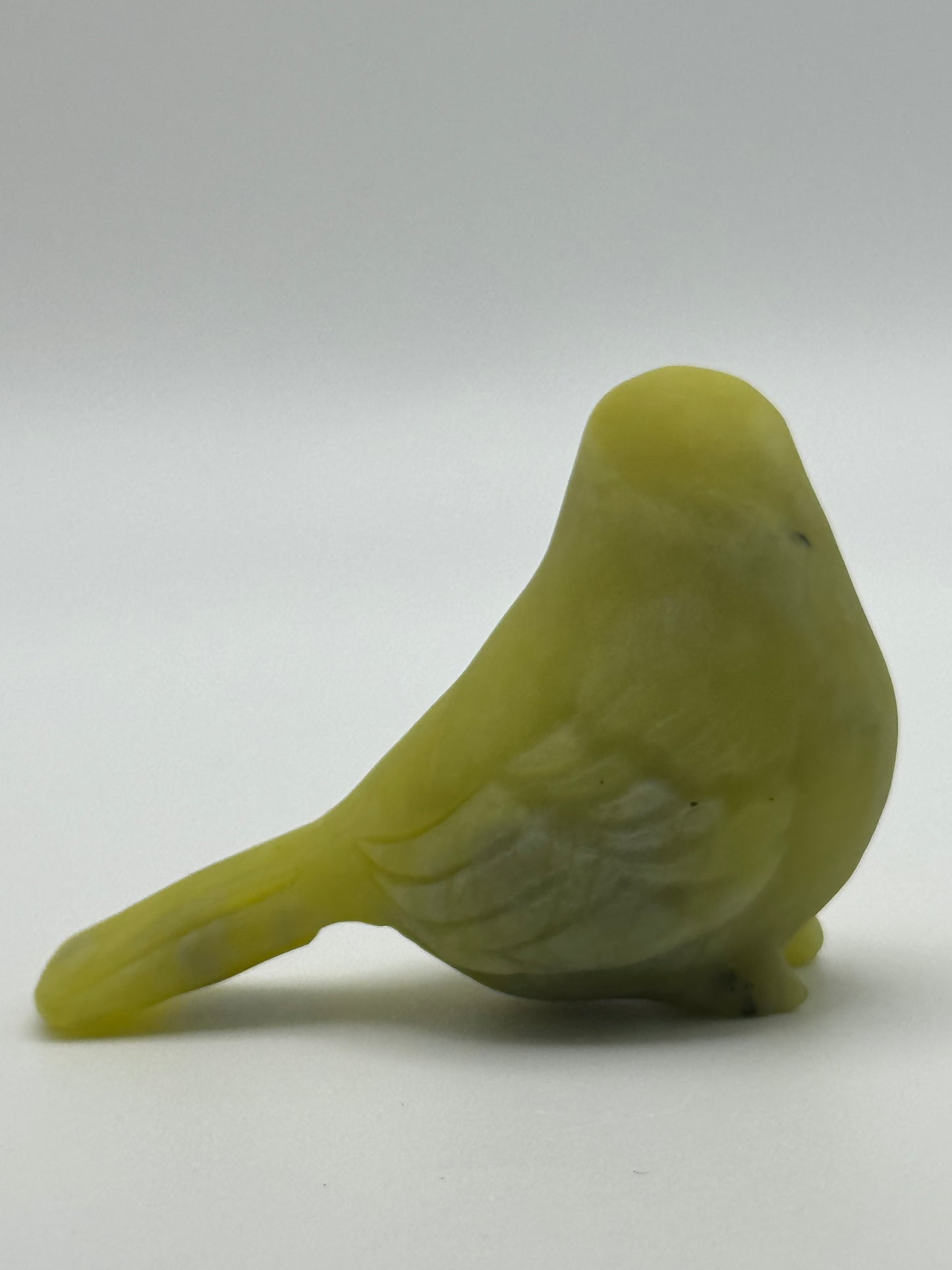 Serpentine Song Bird