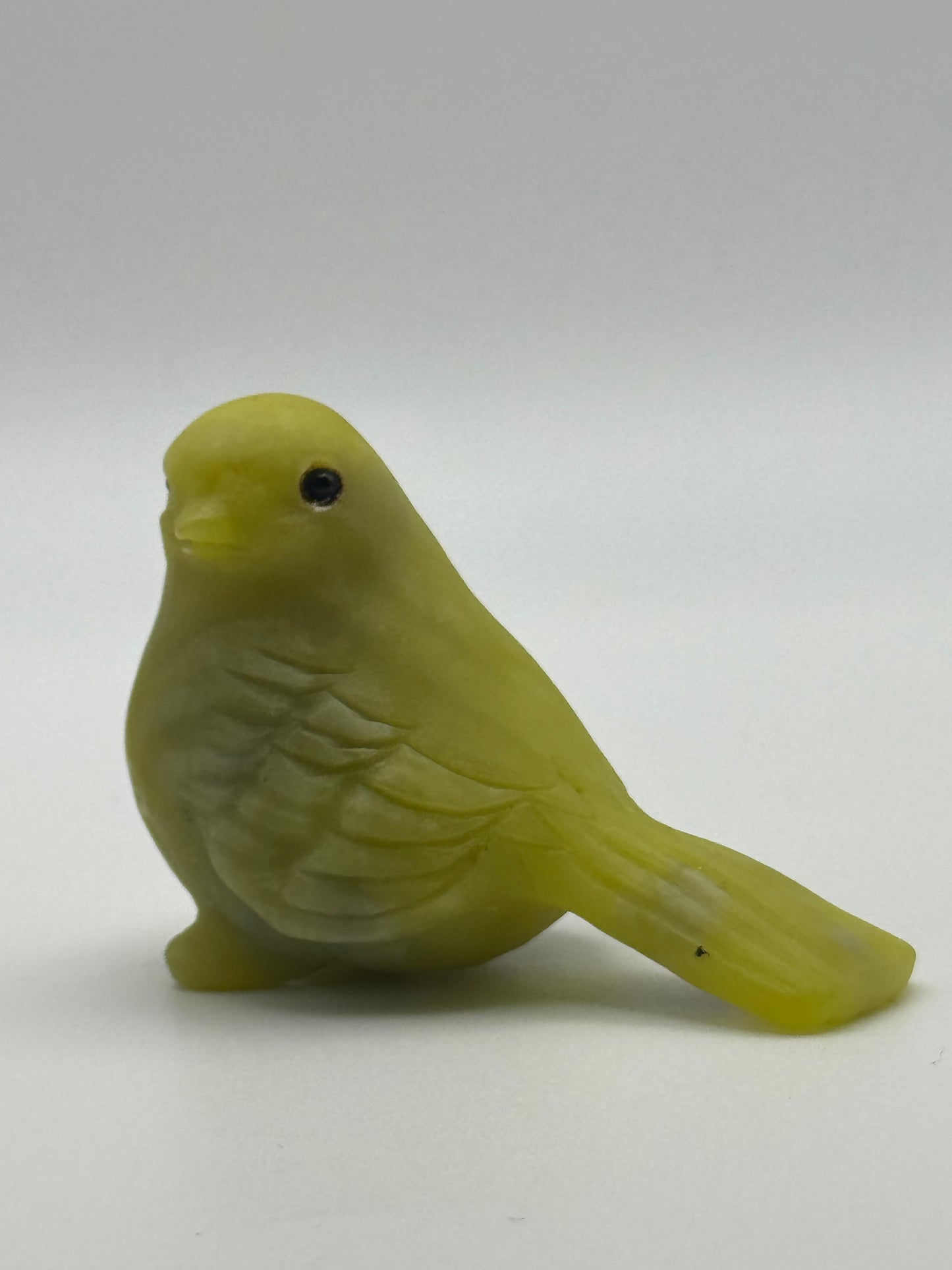 Serpentine Song Bird