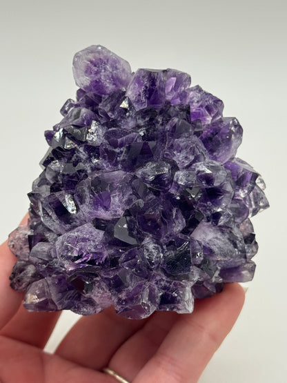 Brazillian Amethyst Cluster
