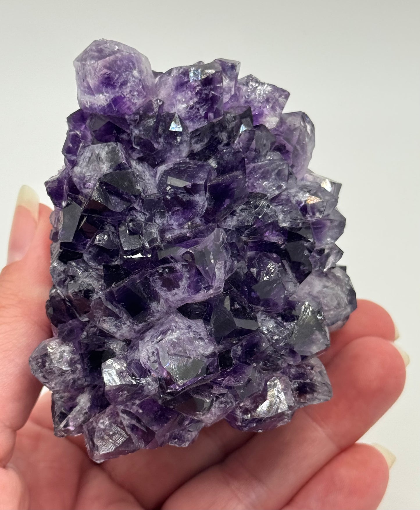 Brazillian Amethyst Cluster