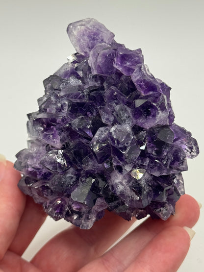 Brazillian Amethyst Cluster