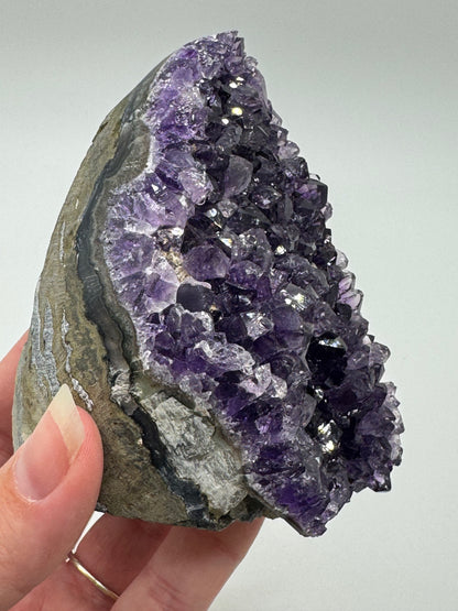 Brazilian Amethyst Cluster
