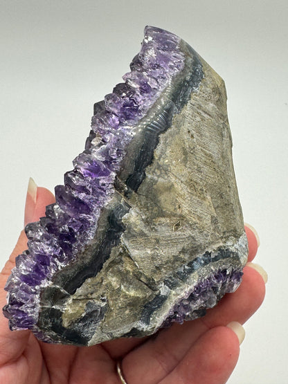 Brazilian Amethyst Cluster