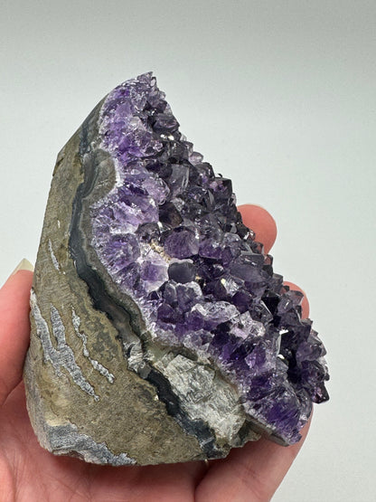 Brazilian Amethyst Cluster