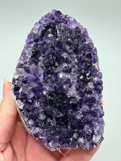 Brazilian Amethyst Cluster