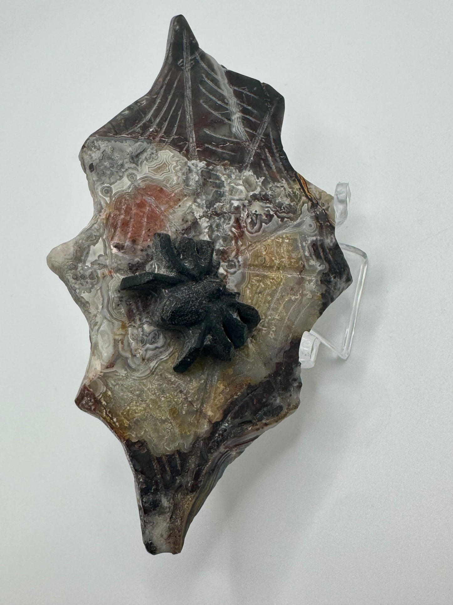Black Obsidian Spider on Mexican Lace Agate Web