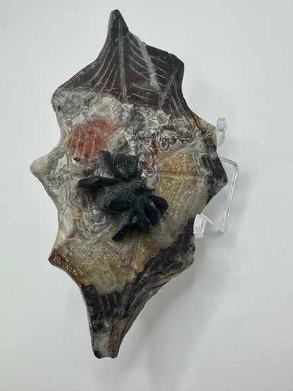 Black Obsidian Spider on Mexican Lace Agate Web